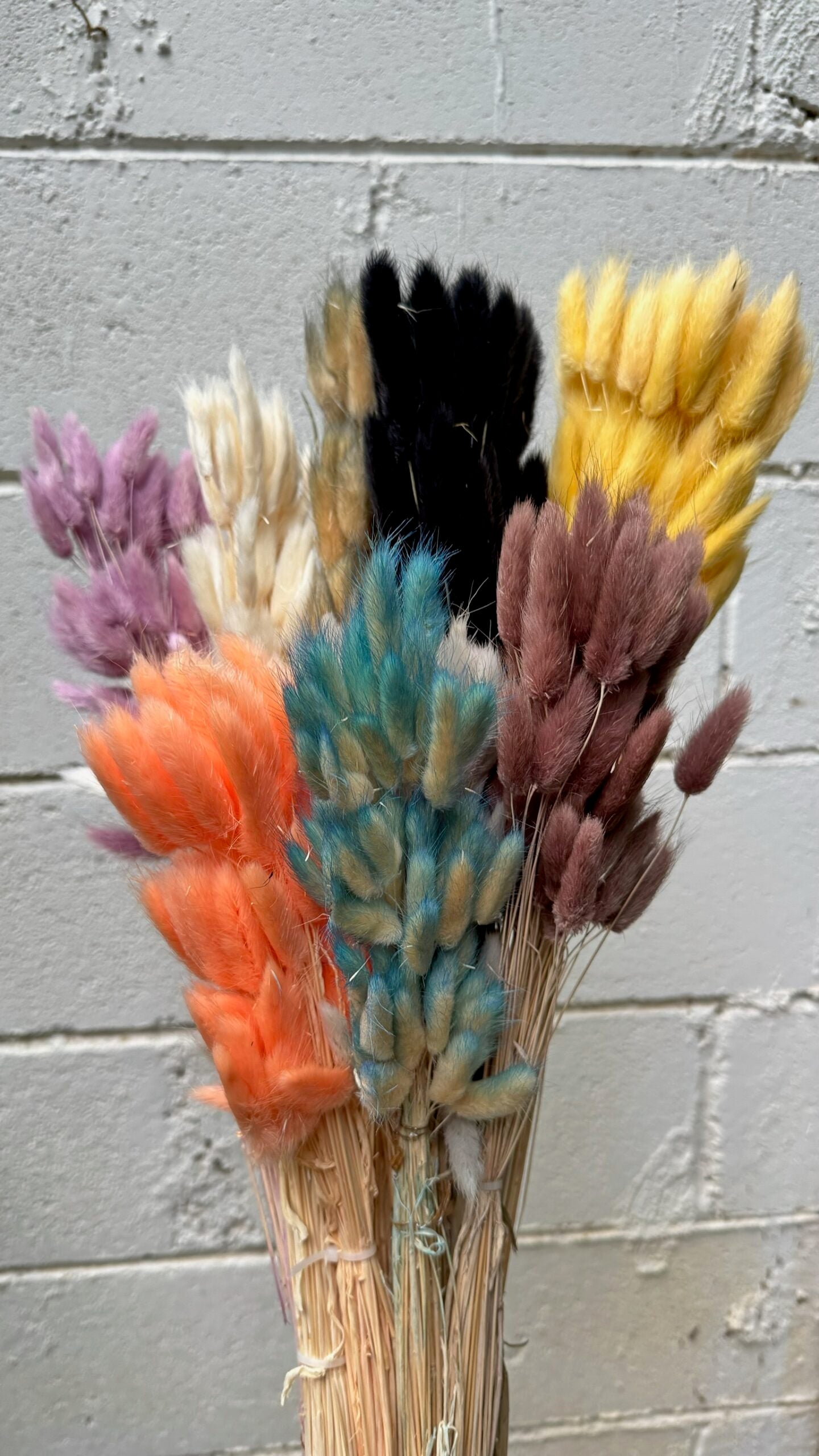 Colitas de Conejo