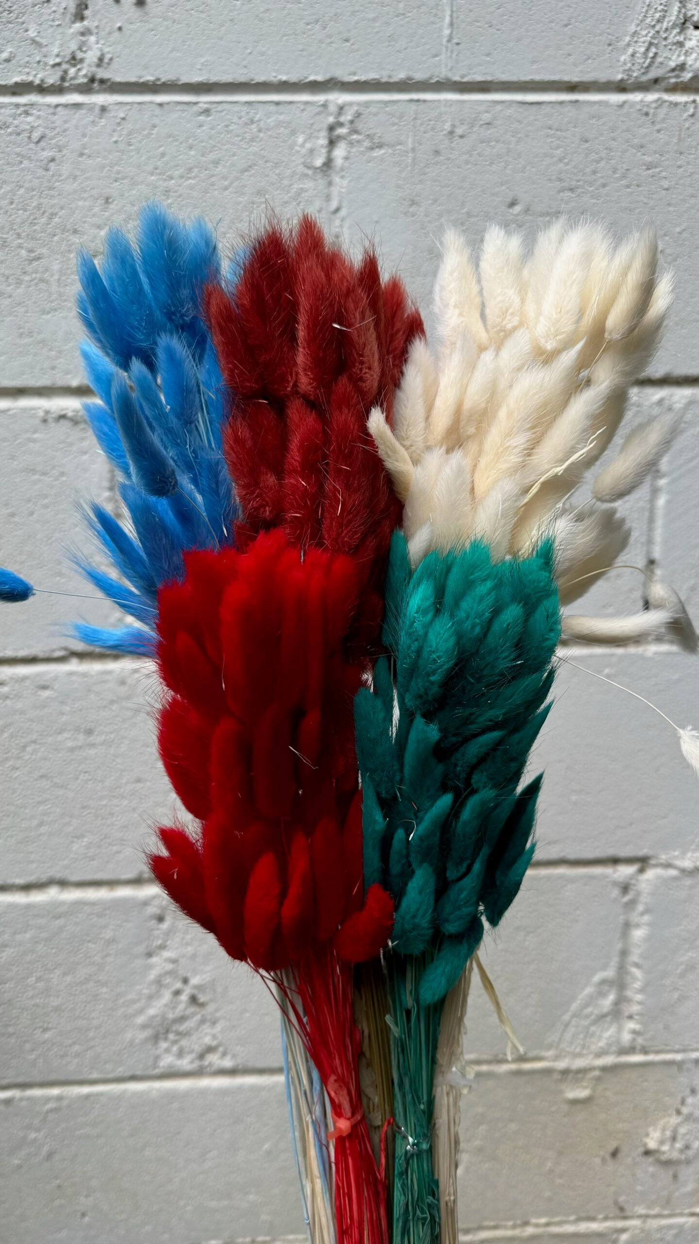 Colitas de Conejo