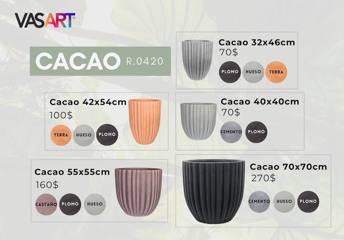Cacao