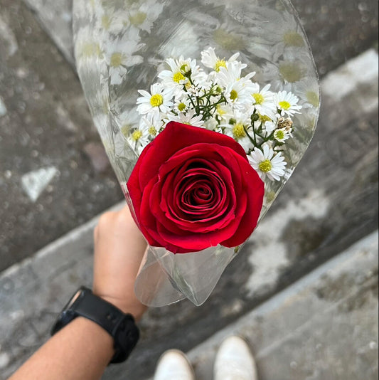 Rosas arregladas