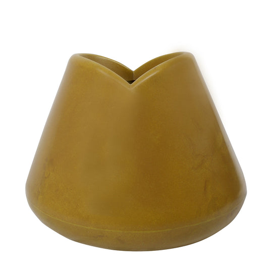 Tulipán